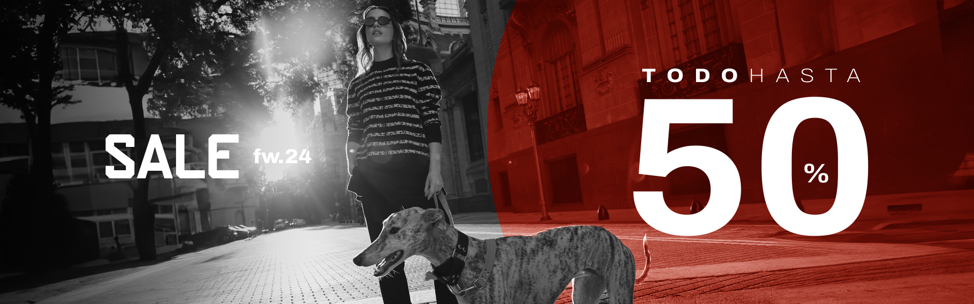 BANNER-SALE-ASH